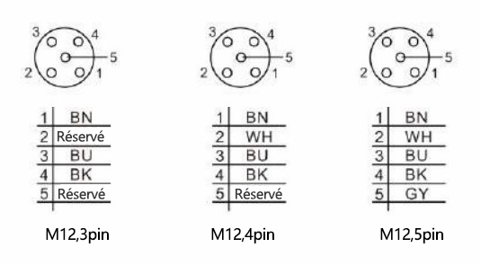 M12连接器引脚~法.png
