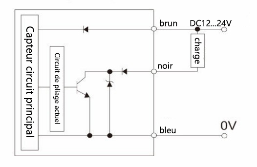 PE05.1PS2接线图~法.png